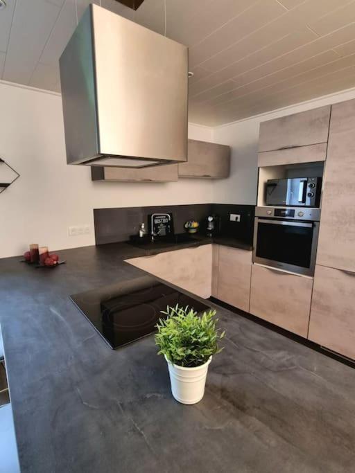 Appartement Chaleureux 80M2 Орбе Экстерьер фото